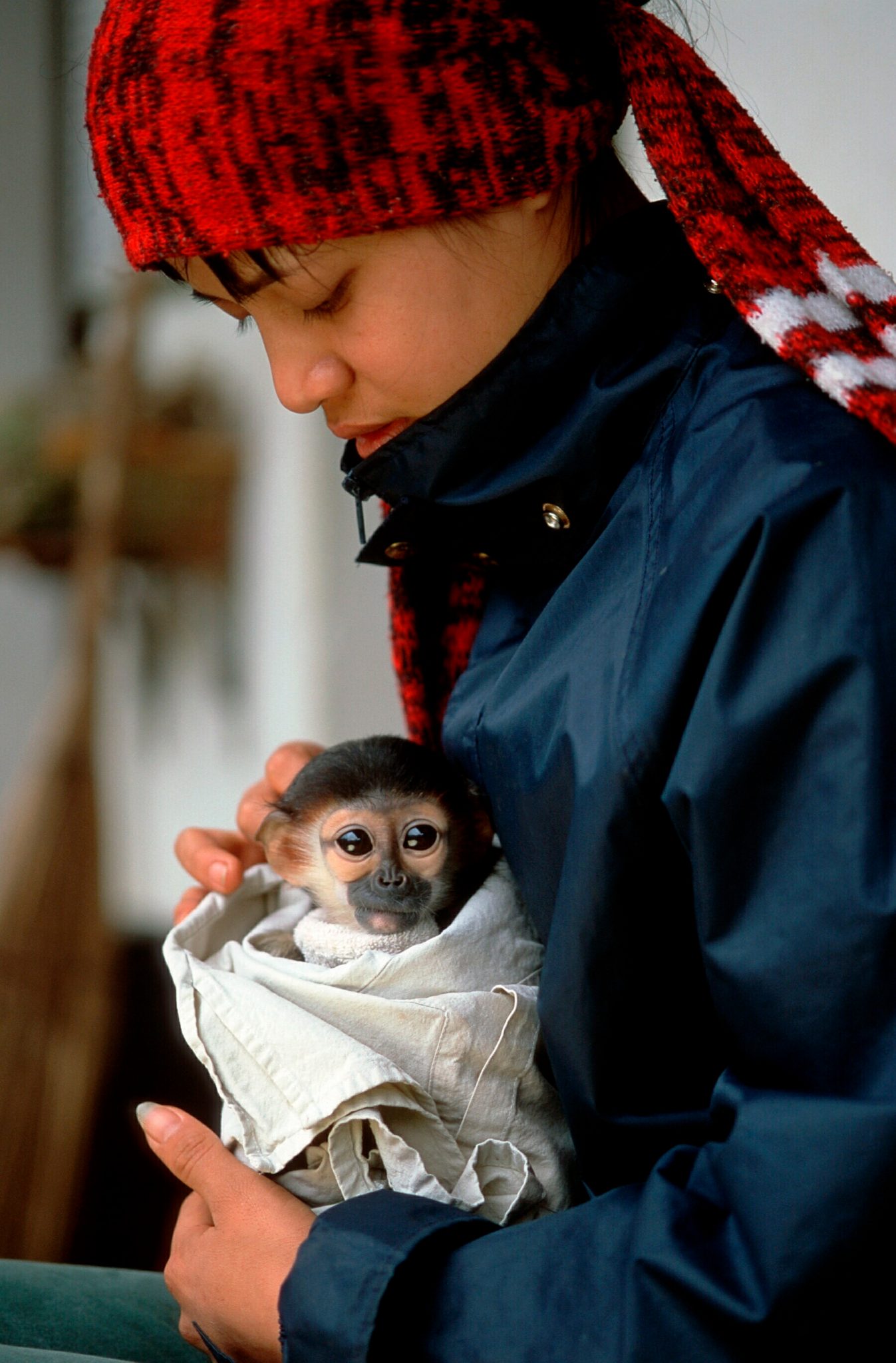 Primate Rescue Center